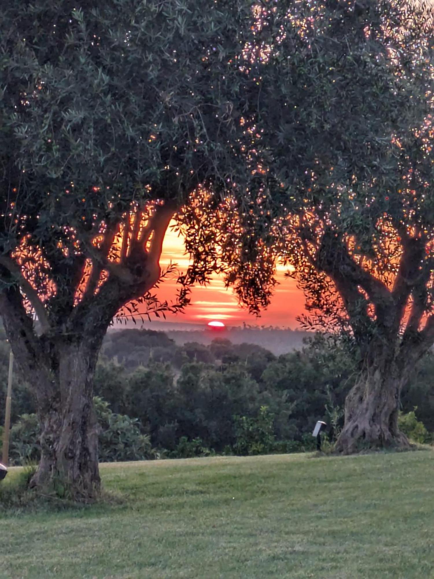 Monte Da Pechincha Bed & Breakfast Estremoz Bagian luar foto