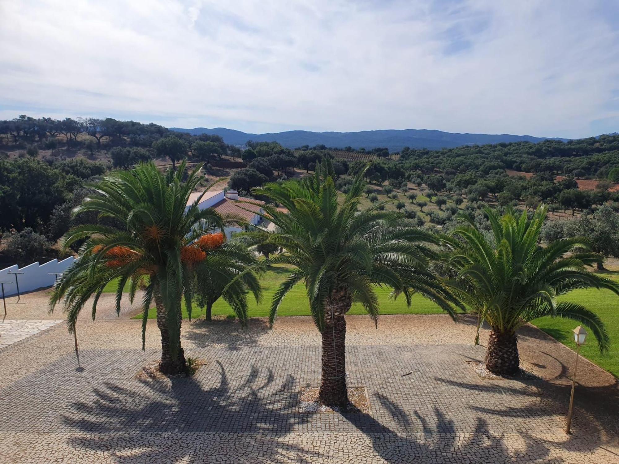 Monte Da Pechincha Bed & Breakfast Estremoz Bagian luar foto